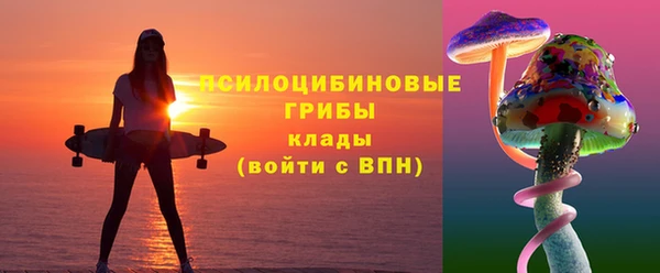 стаф Волосово