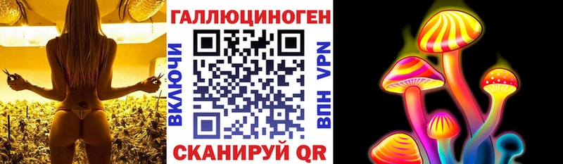 купить  сайты  Дятьково  Псилоцибиновые грибы прущие грибы 