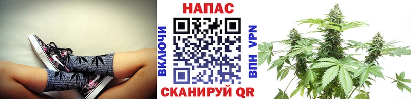 mega рабочий сайт  Дятьково  Каннабис OG Kush  darknet состав  купить  